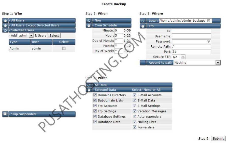 directadmin-admin-create-backup.jpg