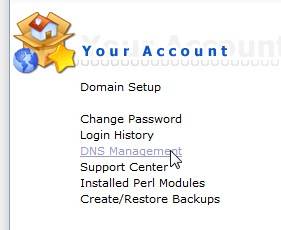 directadmin_dns_management.jpg