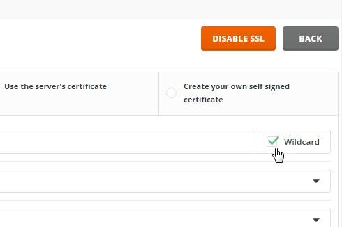 directadmin_ssl_wildcard_check.jpg